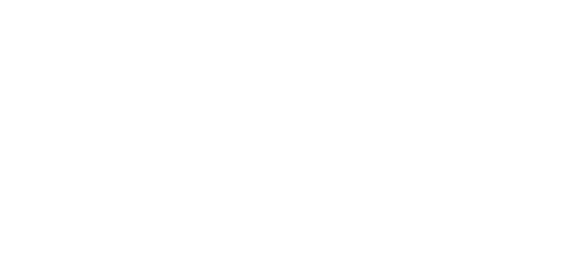 Dennis Michael Voiceover Logo